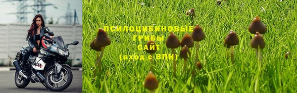 не бодяженный Алзамай