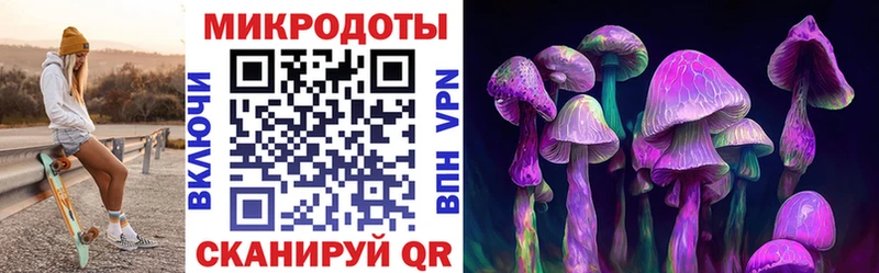 Купить где  Ак-Довурак  Псилоцибиновые грибы мухоморы 
