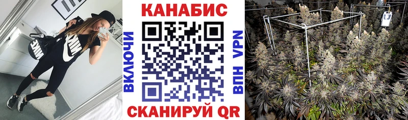 Каннабис Bruce Banner  Купить где  Ак-Довурак 
